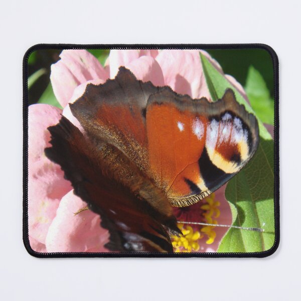 Item preview, Peacock Butterfly on Zinnia // designed and sold by Lillrose.