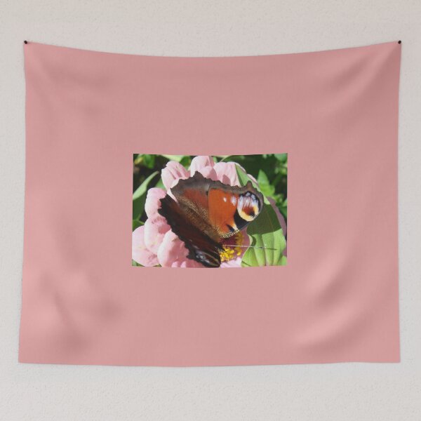 Item preview, Peacock Butterfly on Zinnia // designed and sold by Lillrose.