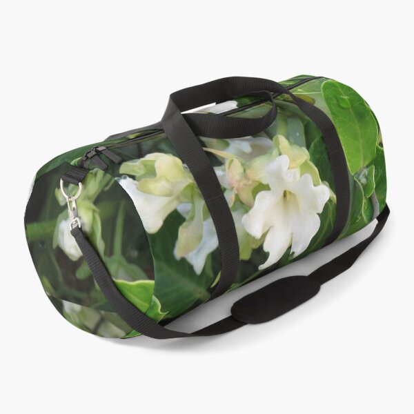 Item preview, Moth plant flower designed and sold by greentiger1.