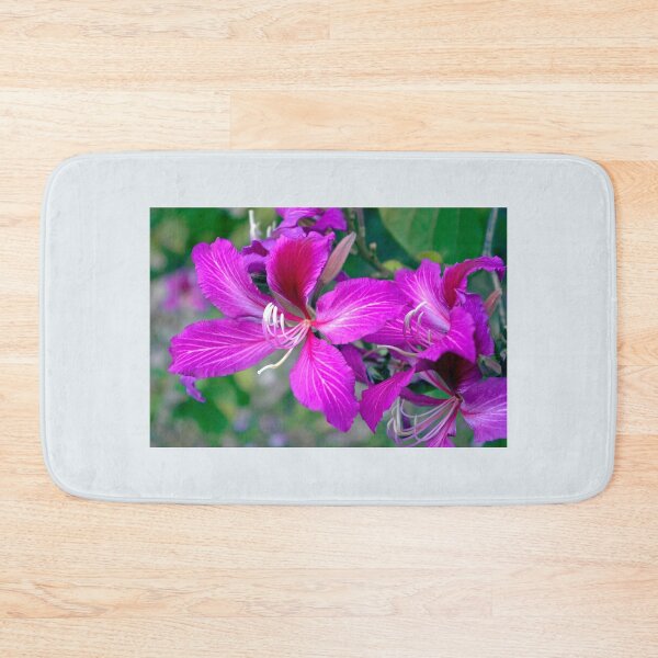 Item preview, Orchid Flowers of the Bauhinia Purpurea Tree designed and sold by Kerryn Madsen-Pietsch.
