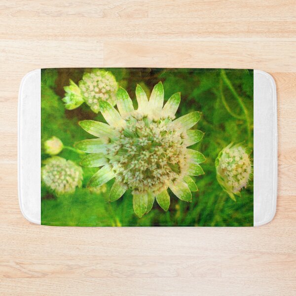 Artikelvorschau, Strukturierte Astrantia entworfen und verkauft von angel1.