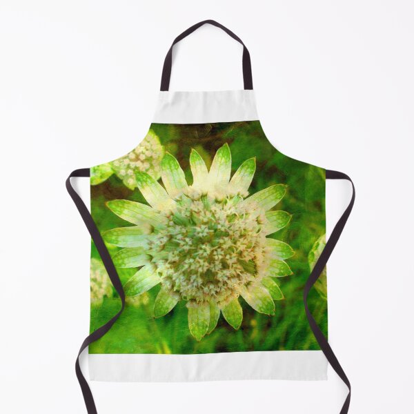 Artikelvorschau, Strukturierte Astrantia entworfen und verkauft von angel1.