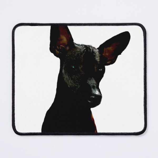 Item preview, Save a life, adopt designed and sold by Xolo-Rescue.