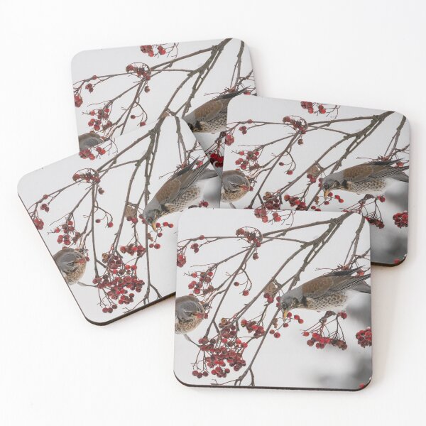 Item preview, Fieldfare (Turdus pilaris) designed and sold by Piotr Front.