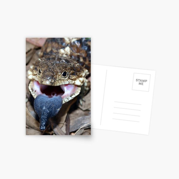 Item preview, Head of the Blue Tongue designed and sold by Clive.
