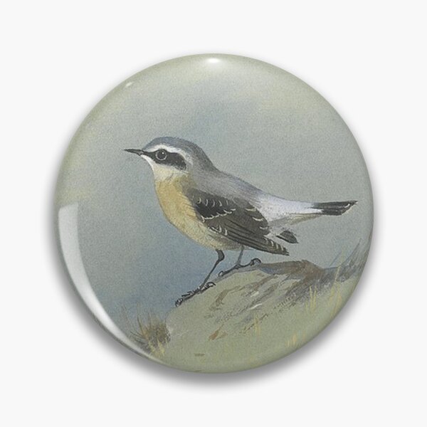 Item preview, Archibald Thornburn - A Male Wheatear designed and sold by tomorrowsart.