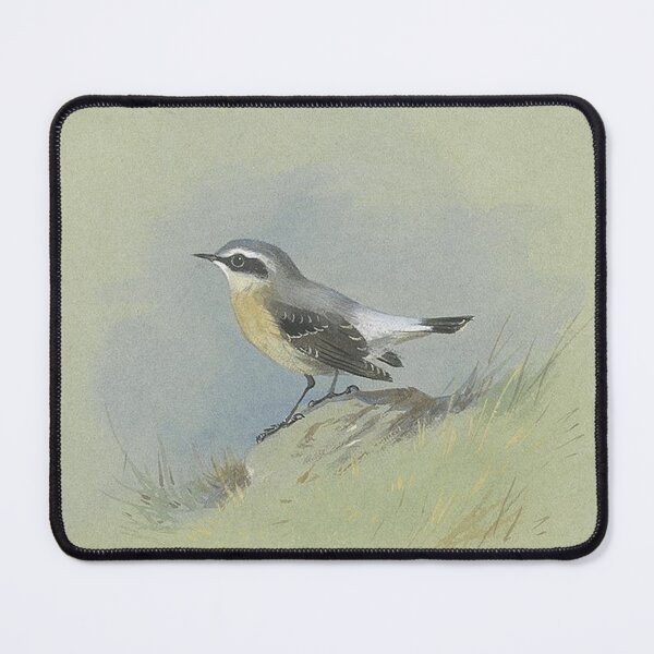 Item preview, Archibald Thornburn - A Male Wheatear designed and sold by tomorrowsart.