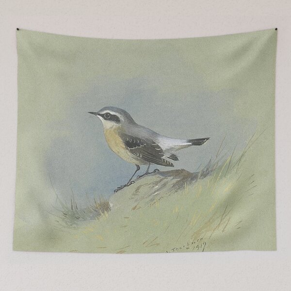 Item preview, Archibald Thornburn - A Male Wheatear designed and sold by tomorrowsart.