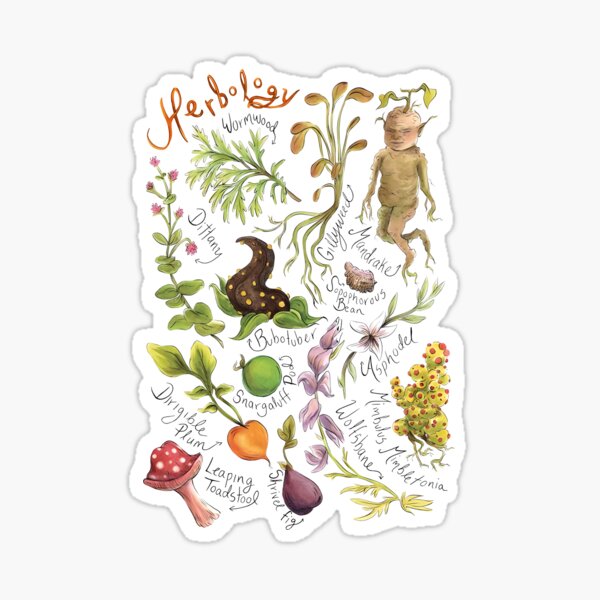 Vista previa del artículo con la obra «Estudio de plantas de herbología», diseñado y vendido por shopStyleOne.