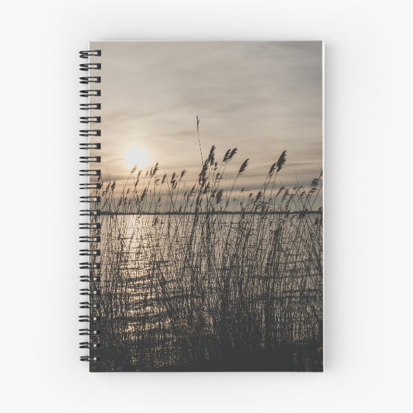 Item preview, Tall reeds by the sea in sunset designed and sold by Jens Breuer.
