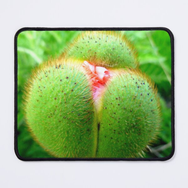 Item preview, Poppy bud designed and sold by angel1.