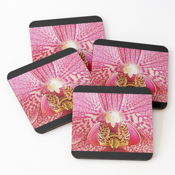 Item preview, Phalenopsis Close-up designed and sold by angel1.