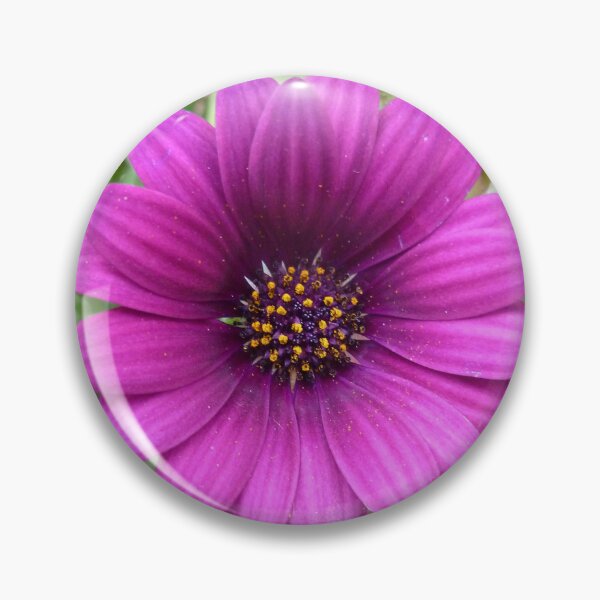 Item preview, African Daisy designed and sold by angel1.