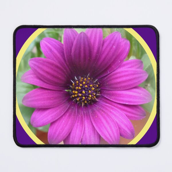 Item preview, African Daisy designed and sold by angel1.