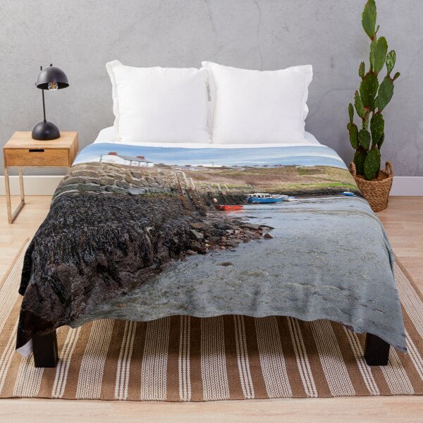 Item preview, Seaton Sluice Harbour in January sunshine designed and sold by Violaman.