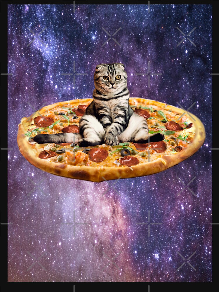 Pizza cat t clearance shirt