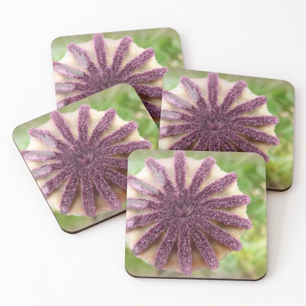 Item preview, Poppy Star designed and sold by angel1.