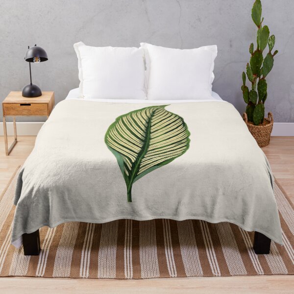 Item preview, Vintage Green Maranta Vittata Leaf illustration designed and sold by Pretty Pixel.