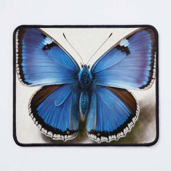 Item preview, Blue Butterfly  designed and sold by Vanover Designs.