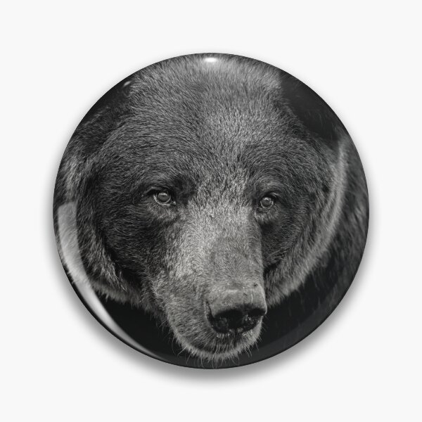 Artikelvorschau, Portrait of a Brown Bear entworfen und verkauft von photo-dude.