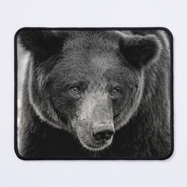 Item preview, Portrait of a Brown Bear designed and sold by photo-dude.