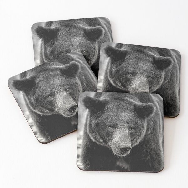 Item preview, Portrait of a Brown Bear designed and sold by photo-dude.