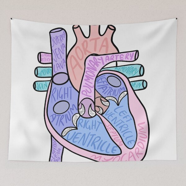 Item preview, Pastel heart anatomy  designed and sold by Mermaidssparkle.