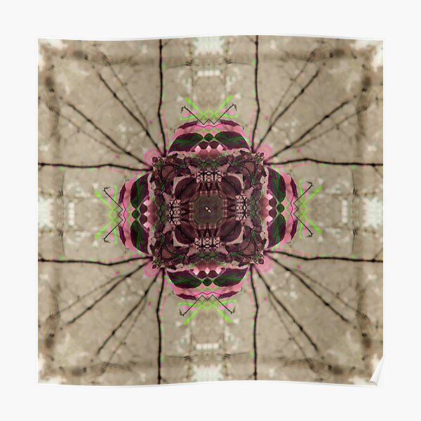 Birch Mandala Poster