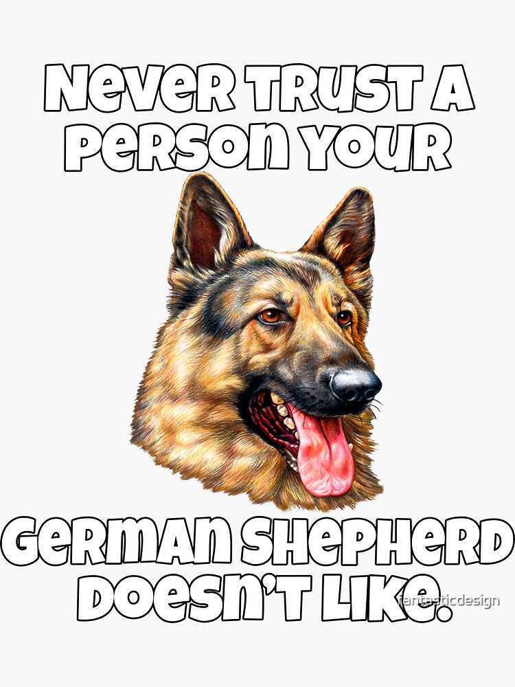 German Shepherd Dog Owner Never Trust A Person Your German