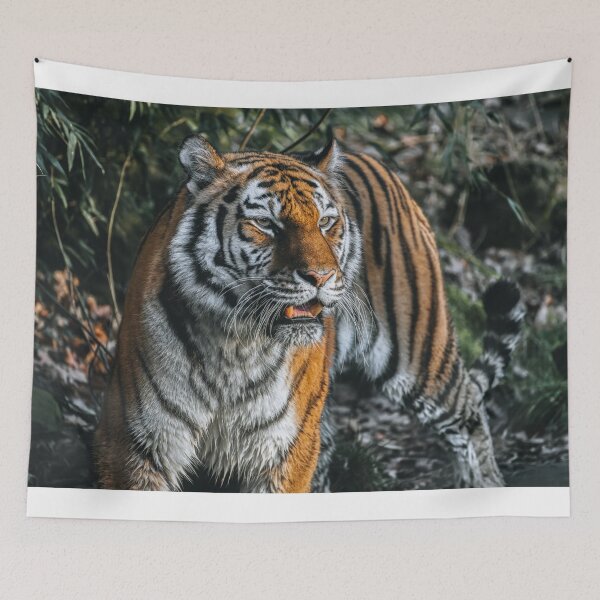 Item preview, tiger designed and sold by photo-dude.