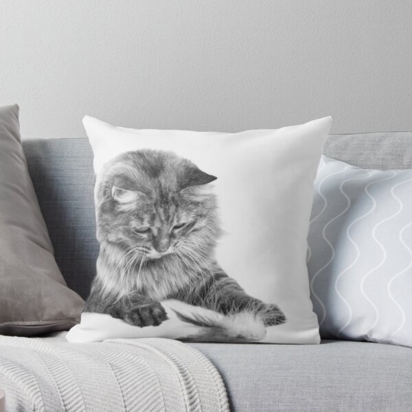 Item preview, Kitty and Feather designed and sold by Baymare.