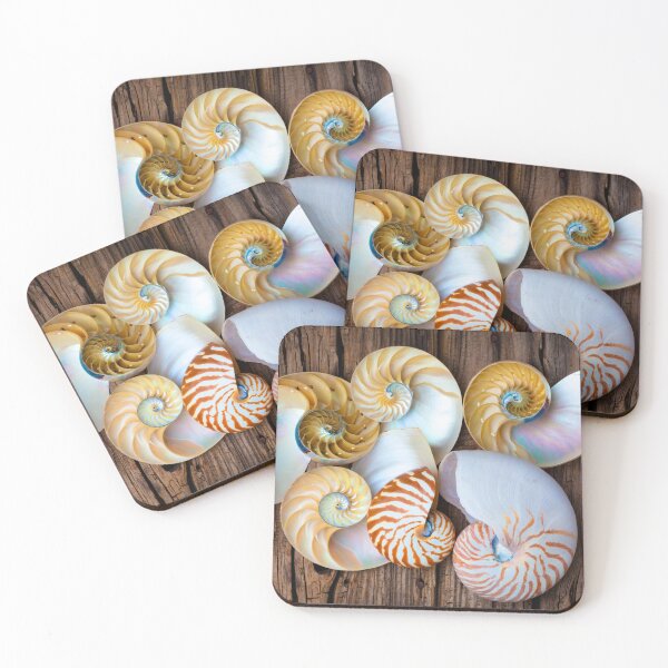 Item preview, Six Chambered Nautilus designed and sold by Garry Gay.