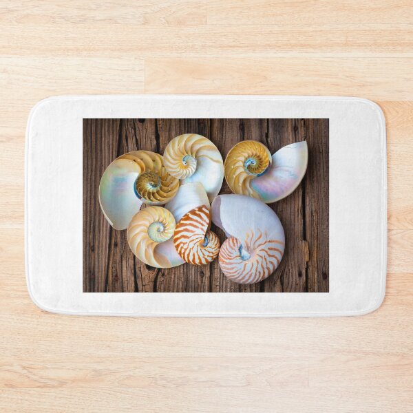 Item preview, Six Chambered Nautilus designed and sold by Garry Gay.