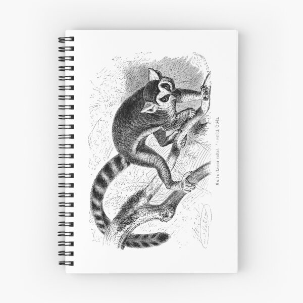 Item preview, Lemur catta by Gustav Ludwig Heinrich Mützel  designed and sold by Amanda1775.