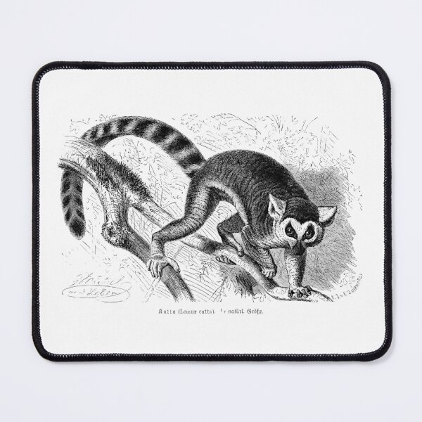 Item preview, Lemur catta by Gustav Ludwig Heinrich Mützel  designed and sold by Amanda1775.