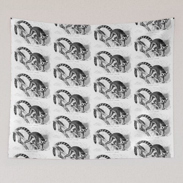 Item preview, Lemur catta by Gustav Ludwig Heinrich Mützel  designed and sold by Amanda1775.