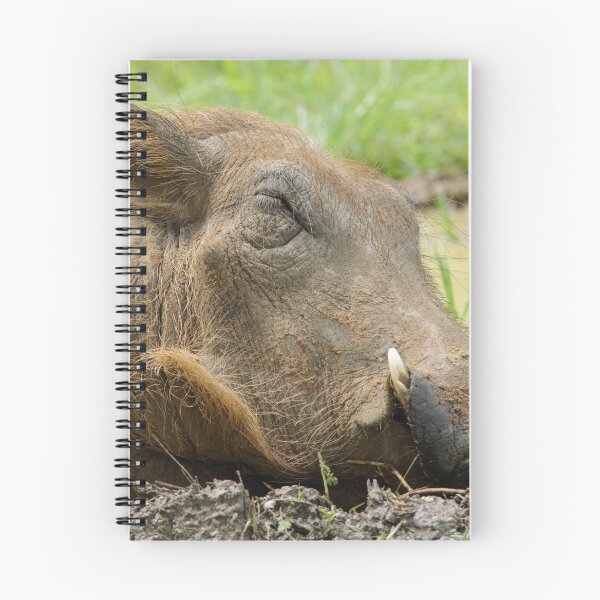 Item preview, Warthog - Murchison Falls National Park, Uganda - July 2017 designed and sold by Rob Drummond.