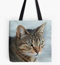 Stunning Tabby Cat Close Up Portrait Tote Bag