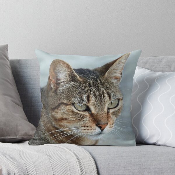 Item preview, Stunning Tabby Cat CloseUp Photo Portrait designed and sold by taiche.