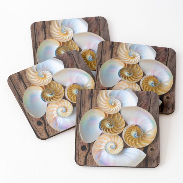 Item preview, Natures Four Chambered Nautilus Seashells designed and sold by Garry Gay.