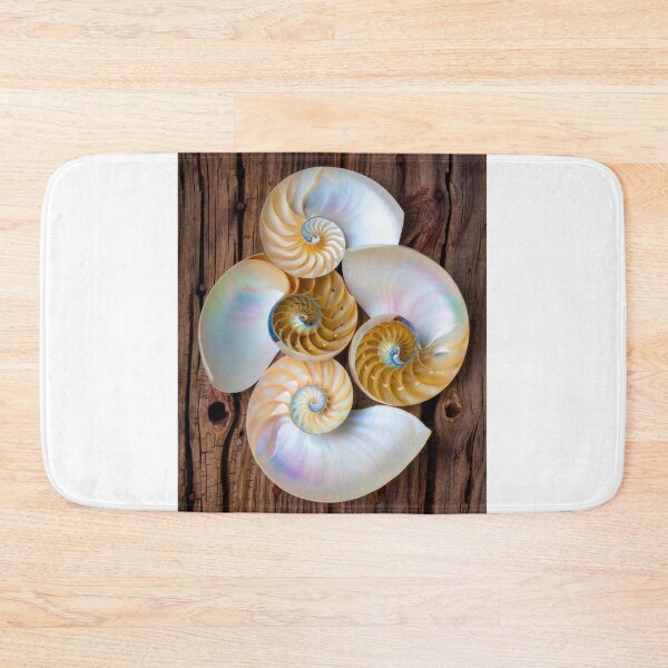 Item preview, Natures Four Chambered Nautilus Seashells designed and sold by Garry Gay.