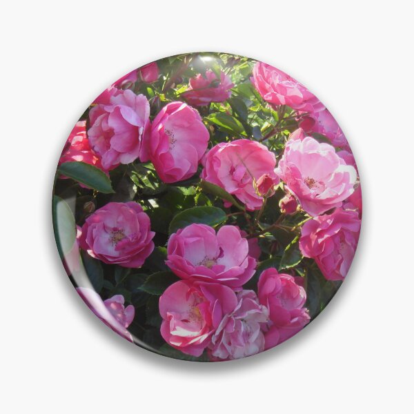 Item preview, Pink blooming rose bush // designed and sold by Lillrose.