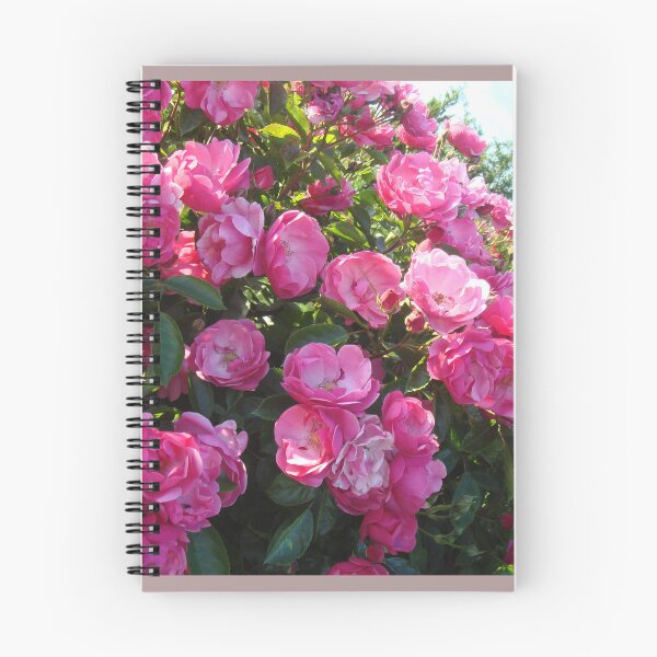 Item preview, Pink blooming rose bush // designed and sold by Lillrose.