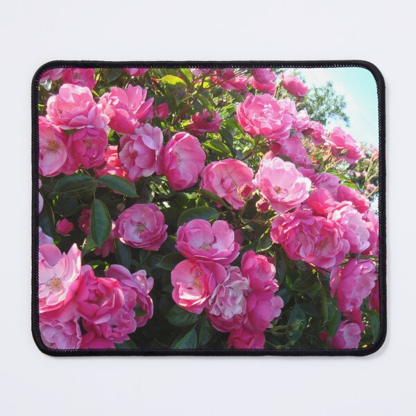 Item preview, Pink blooming rose bush // designed and sold by Lillrose.