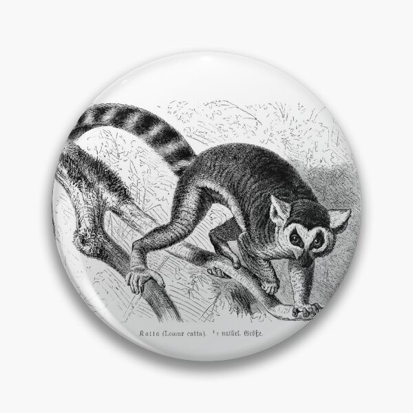 Item preview, Lemur catta by Gustav Ludwig Heinrich Mützel  designed and sold by Amanda1775.