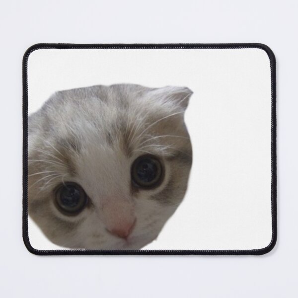 Item preview, Staring cat designed and sold by CoolMeowCat.