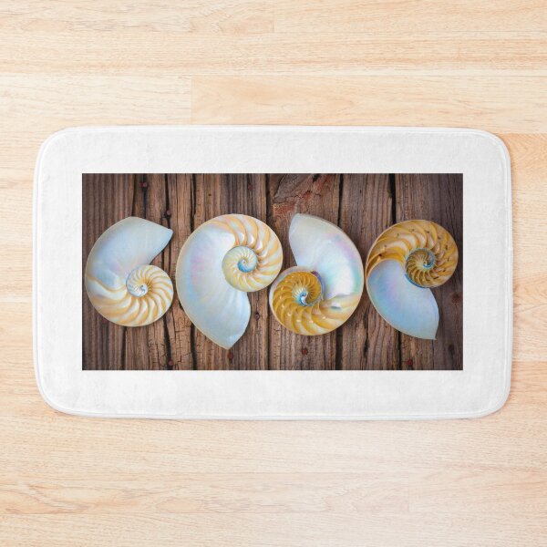 Item preview, Four Chambered Nautilus Seashells designed and sold by Garry Gay.