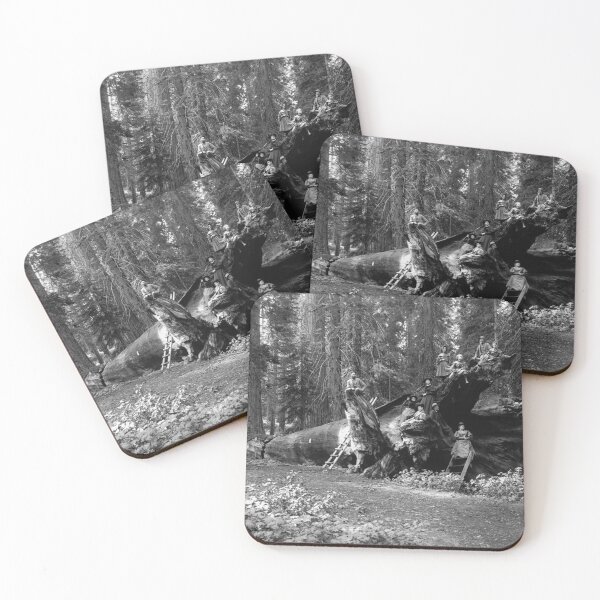Item preview, People Sitting on Sequoia Tree in Mariposa Grove, California, 1900  designed and sold by World Vintage Photos.