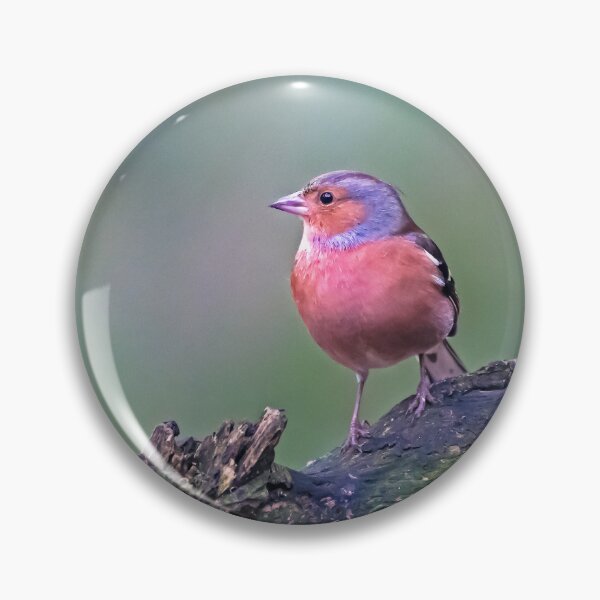 Item preview, Chaffinch and log designed and sold by George Kelsey.