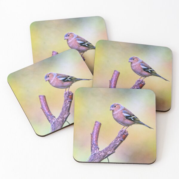 Item preview, Chaffinch breaks catapult designed and sold by George Kelsey.